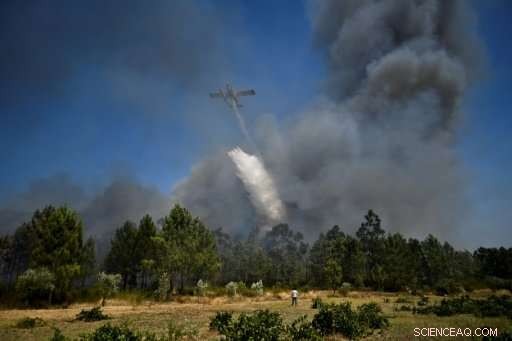EU Rethinks Civil Protection Aid After Portugal Fires