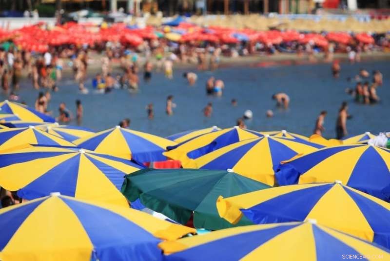 Is Earth Facing Overpopulation? Examining Global Demographic Trends