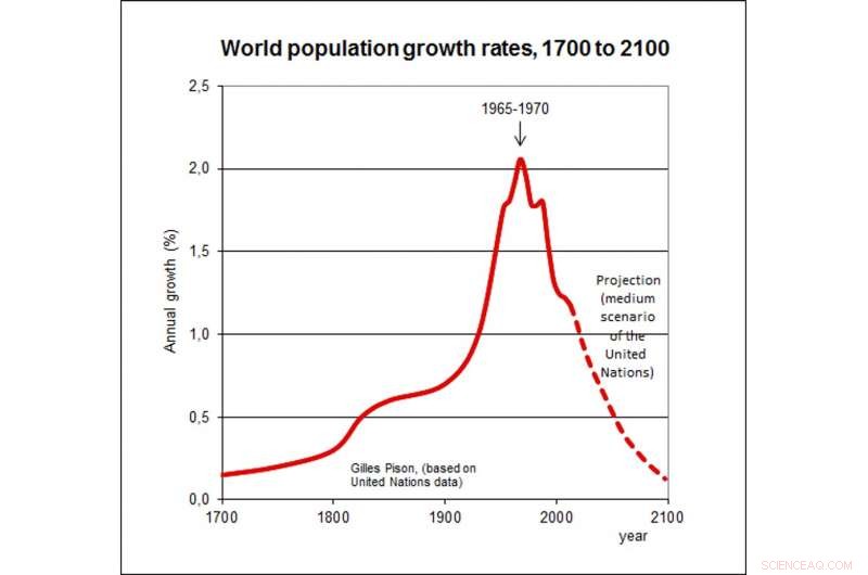 Is Earth Facing Overpopulation? Examining Global Demographic Trends