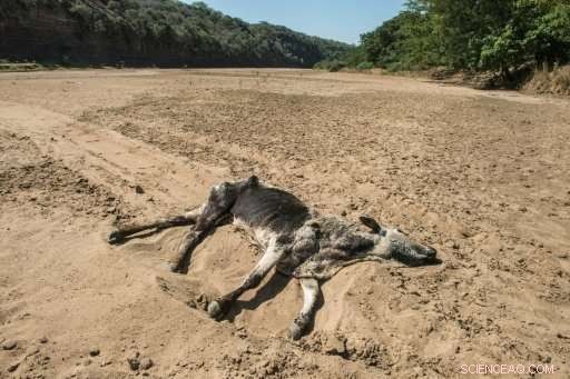 $129 B in Extreme Weather Losses Last Year: Climate Report