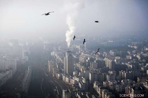 UN Warns: Catastrophic Gap in Climate Action Requires Immediate Action