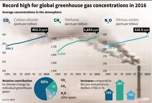 UN Warns: Catastrophic Gap in Climate Action Requires Immediate Action