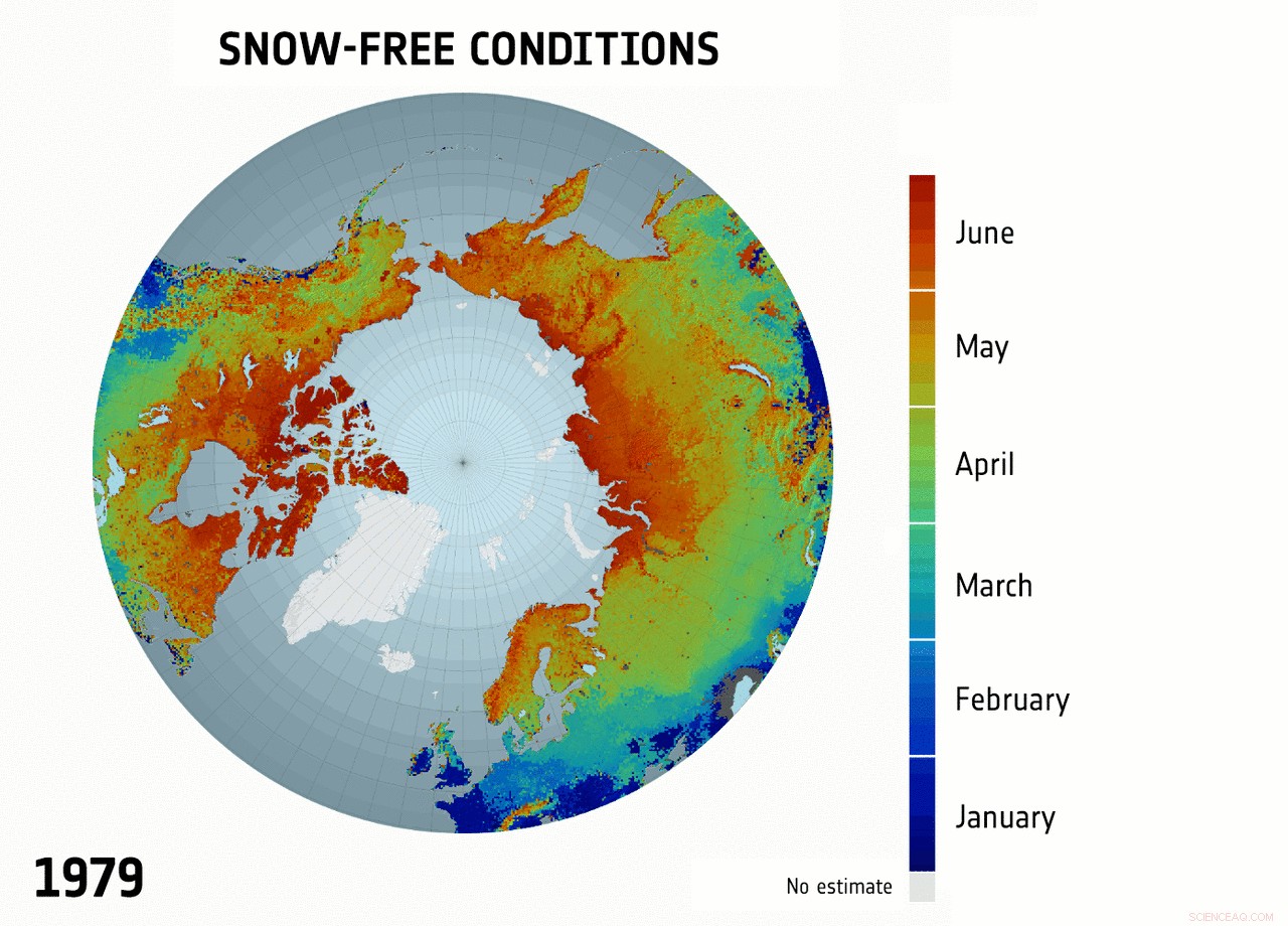 Melting Snow Enhances Carbon Dioxide Absorption in Boreal Forests