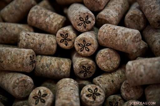 Portugal s Cork Oak Reigns Supreme Over Screwcaps