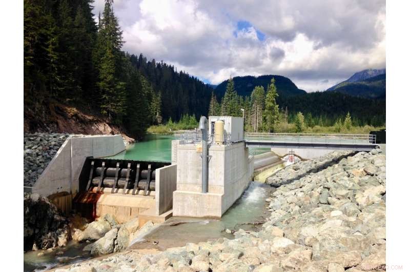 Investigating Elevated Mercury in American Dippers: The Impact of Run-of-River Dams