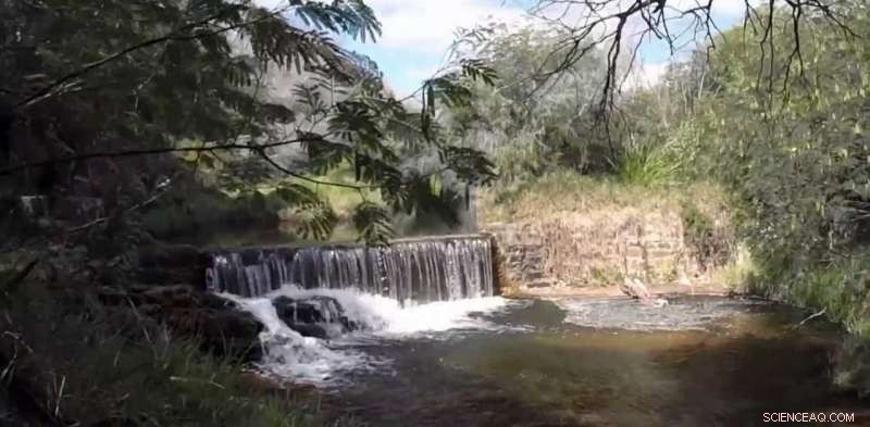 Can Virtual Nature and Microbiome Transplants Improve Urban Health?