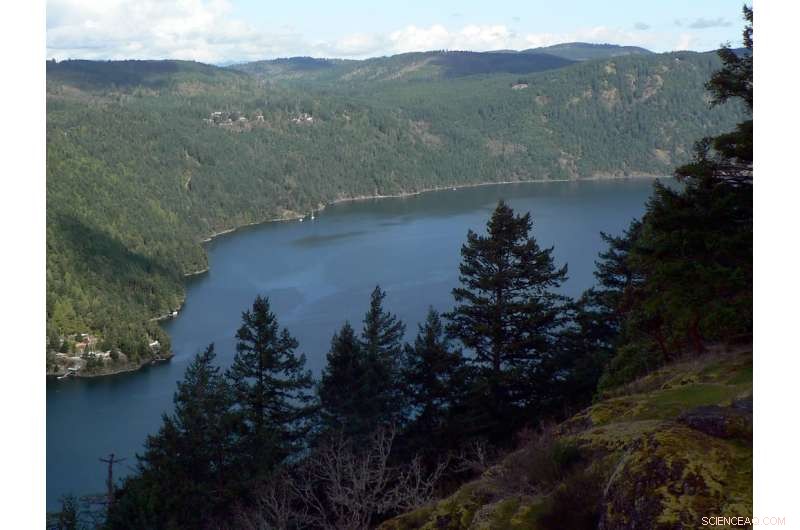 Half a Century of Oxygen Minimum Zone Data Offers Insight into Ocean Future