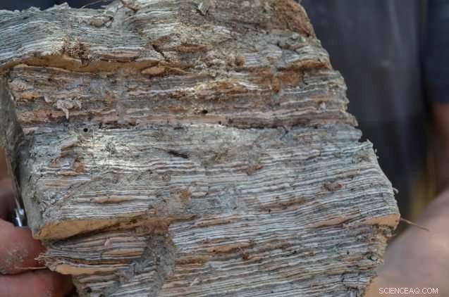 Israel’s Climate Chronicles: Decoding Past Droughts with Ancient Salt Caves