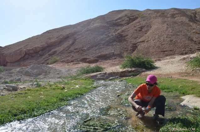 Israel’s Climate Chronicles: Decoding Past Droughts with Ancient Salt Caves