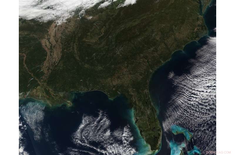 Satellite Detects Dozens of Fires in the Southeast, Majority Prescribed