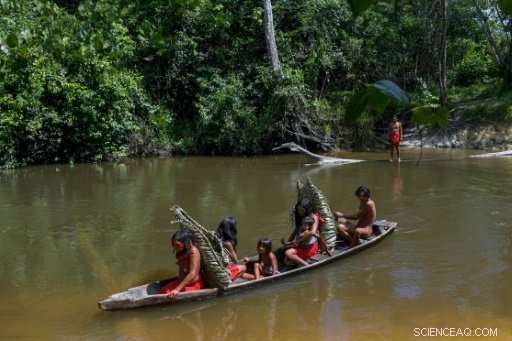Amazon Rainforest Beer Tradition: A Tribe s Cultural Celebration