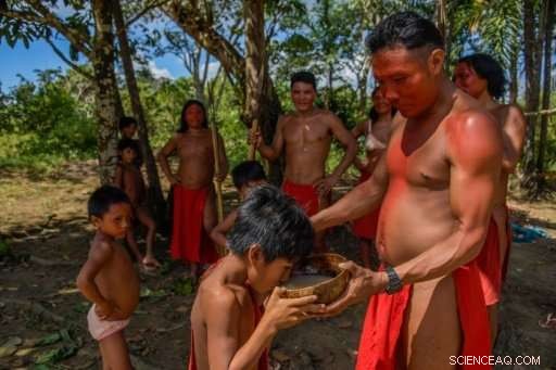 Amazon Rainforest Beer Tradition: A Tribe s Cultural Celebration