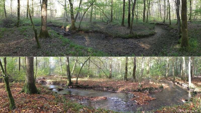 Driving Scientific Insight and Effective Management of European Intermittent Rivers and Ephemeral Streams