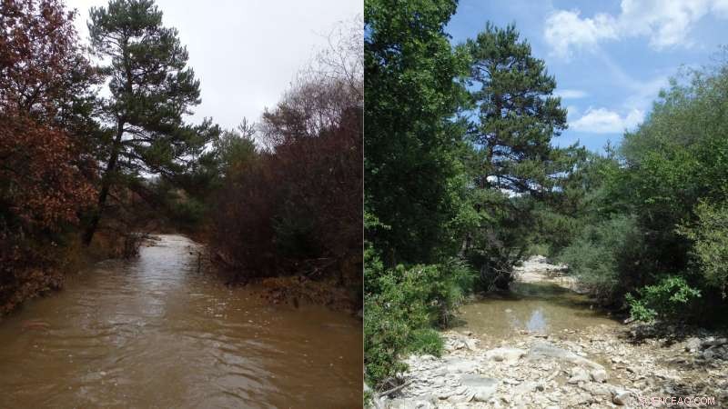 Driving Scientific Insight and Effective Management of European Intermittent Rivers and Ephemeral Streams