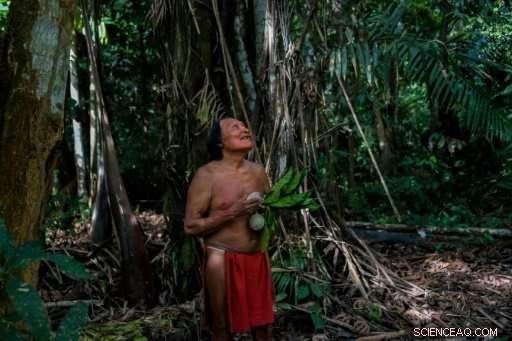 For Amazon Tribes, the Rainforest Is a Complete World