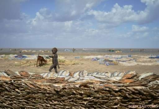 UN Predicts 2017 Will Be the Hottest Year on Record, Except for El Niño Years