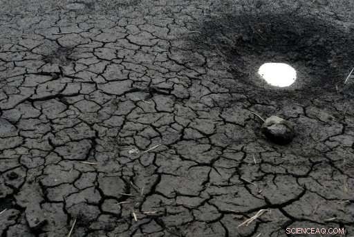 UN Predicts 2017 Will Be the Hottest Year on Record, Except for El Niño Years