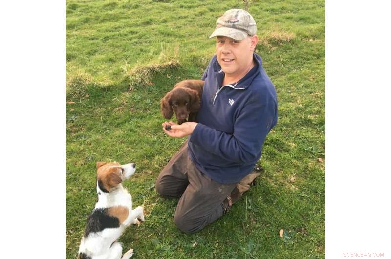 UK Successfully Cultivates Perigord Black Truffle, First Ever in Britain