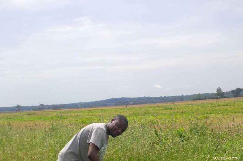 Lowering Soil Temperature: How Cover Crops Shield Soil from Extreme Heat