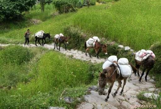 Lifeline Trails Rebuilt, Revitalizing Nepal s Quake‑Hit Villages