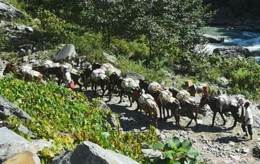 Lifeline Trails Rebuilt, Revitalizing Nepal s Quake‑Hit Villages
