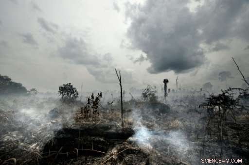 Congo Peatlands: Are They a Rising Carbon Release Risk?