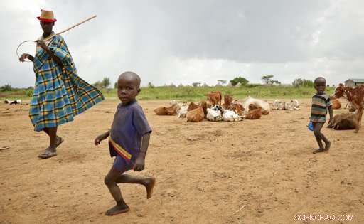 Ugandan Herders Battle Climate Change in Karamoja s Harsh Frontier