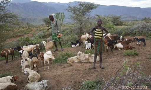 Ugandan Herders Battle Climate Change in Karamoja s Harsh Frontier