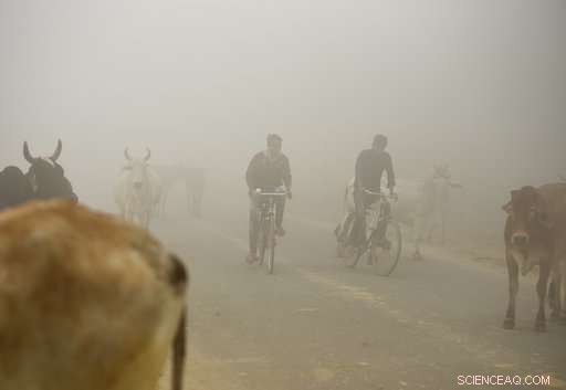 Delhi Faces Severe Air Pollution, Sparking Public Outrage