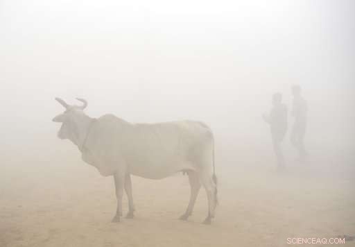 Delhi Faces Severe Air Pollution, Sparking Public Outrage