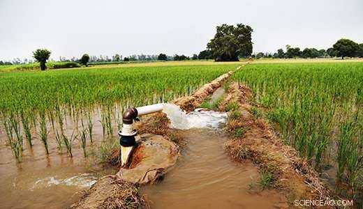The Impact of Food Choices on Global Wildlife and Human Populations