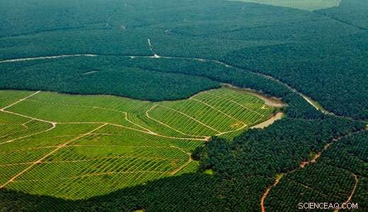 The Impact of Food Choices on Global Wildlife and Human Populations