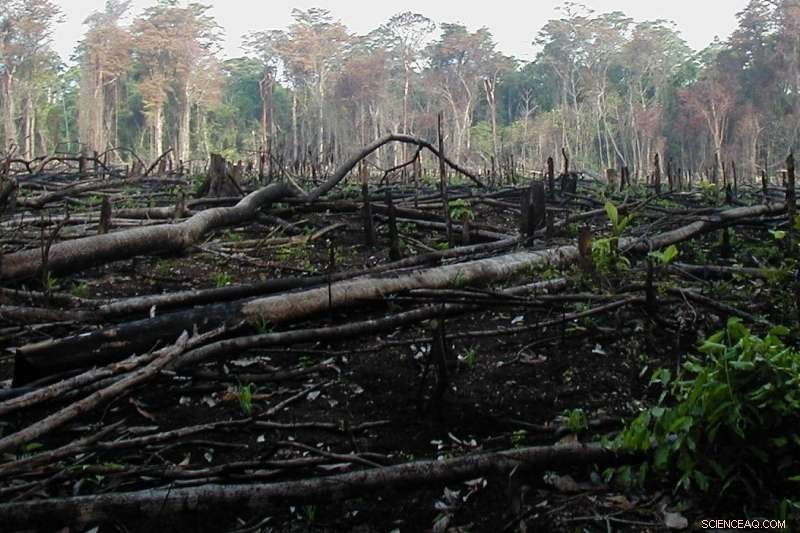 How to Prevent the Next Mass Extinction: Lessons from History