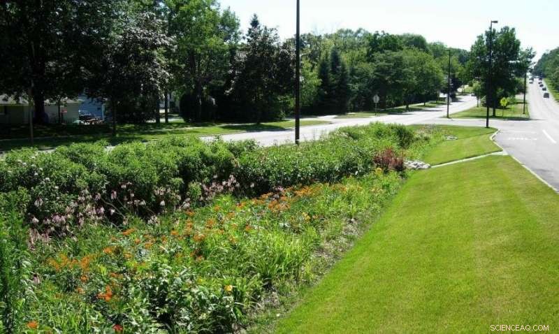 Reduce Home Stormwater Runoff with a Veggie Raingarden