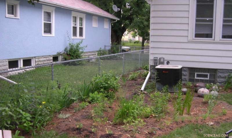 Reduce Home Stormwater Runoff with a Veggie Raingarden