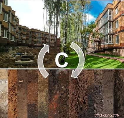 Urban Expansion Could Enhance Soil Health: Insights from Moscow Study