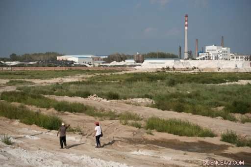 From Fields to Frontlines: How a Chinese Farmer Became an Eco-Warrior Against Corporate Pollution