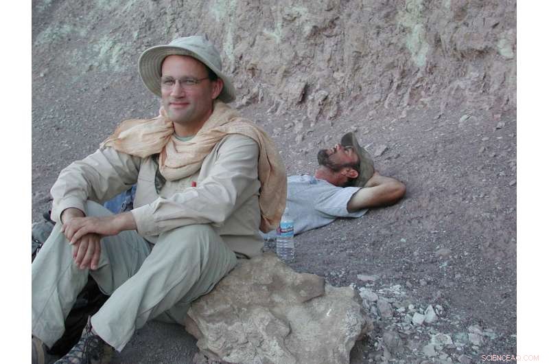 New Soil Analysis Reveals Clues About Dinosaur‑Era Climate