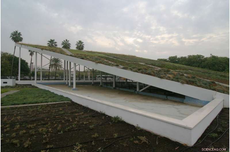 Green Roofs: A Proven Strategy to Mitigate Climate Change