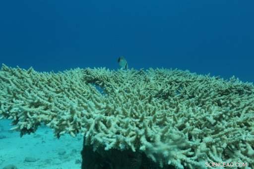 Climate Change Threatens 25% of Natural World Heritage Sites, According to New Report