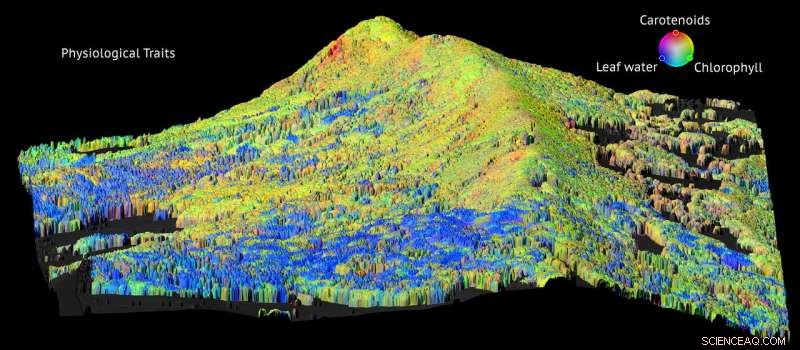 Remote Sensing Reveals Functional Diversity Across Forest Ecosystems