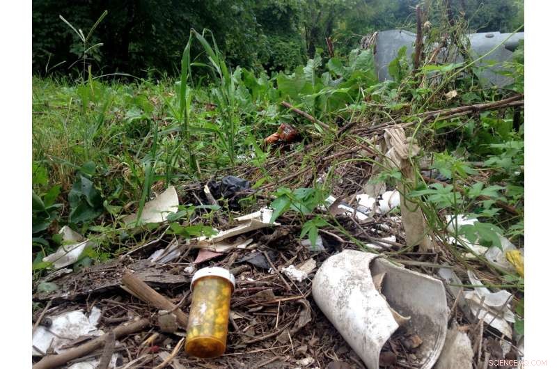 Impact of Low‑Dose, Continuous Pharmaceutical & Personal Care Product Pollution on Aquatic Life