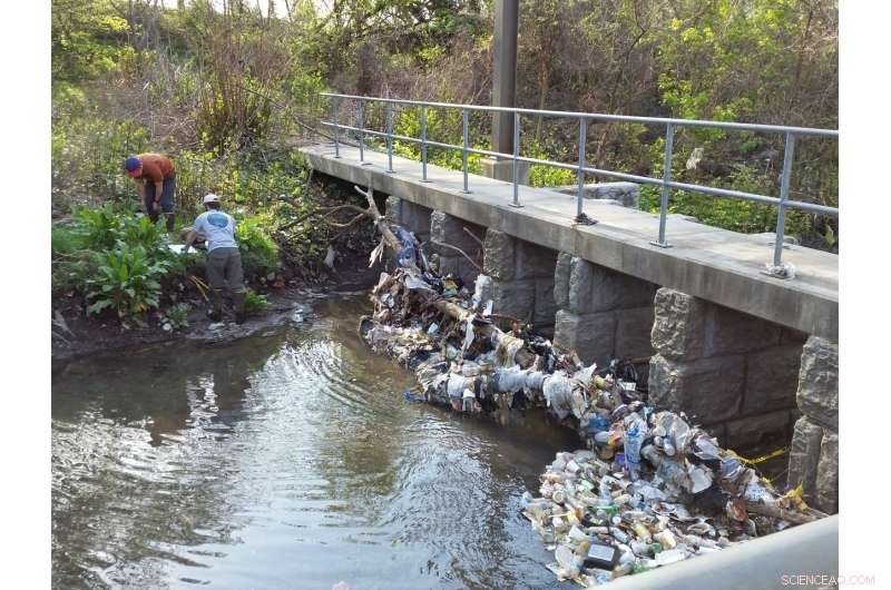 Impact of Low‑Dose, Continuous Pharmaceutical & Personal Care Product Pollution on Aquatic Life