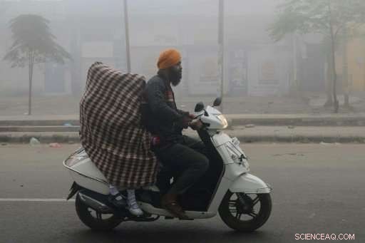 India s Environment Minister Urges Calm Amid Deepening Smog Crisis