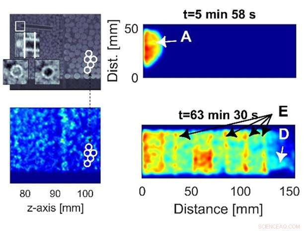 From Health Protection to Environmental Safeguarding: The Radioisotope Shift