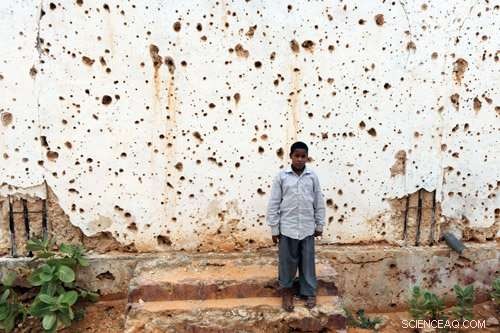 Assessing the Long-Term Environmental Effects of Armed Conflict