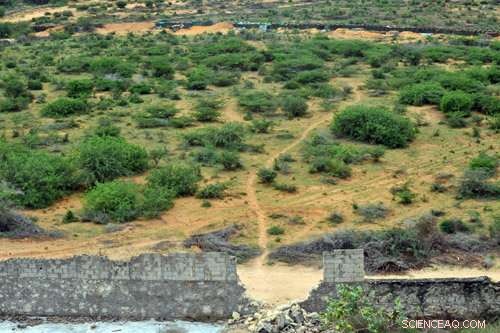 Assessing the Long-Term Environmental Effects of Armed Conflict