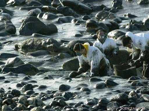 Spain Secures €1.6 Billion in Prestige Oil Spill Compensation