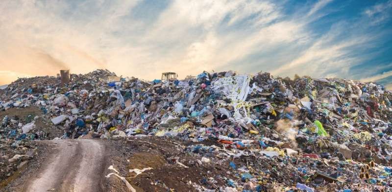 Hopeful Advances in Combating Plastic Pollution