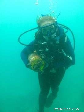 Study Urges Global-Change Researchers to Embrace Variability